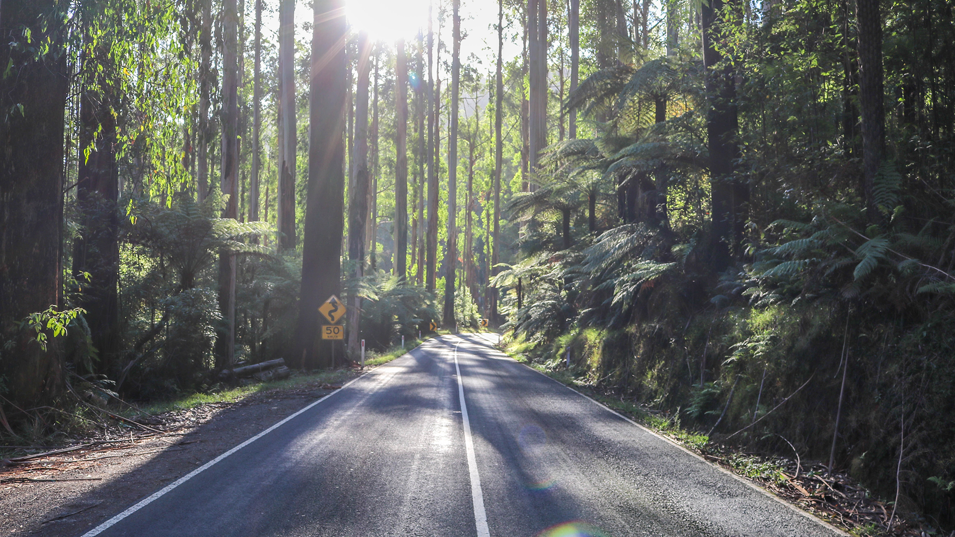 ARRB rural roads