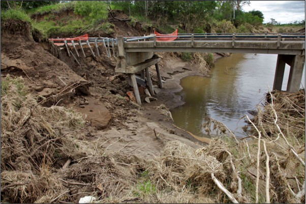 Resilient Bridge Approaches to withstand Natural Disasters